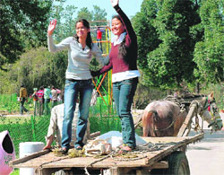 Girls enjoy the ride on a cart ahead of the Rose Festival at Rose Garden in Chandigarh