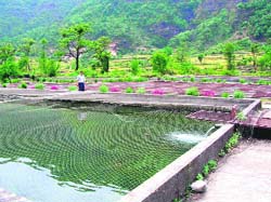 A fish pond at Mandal valley in Chamoli district. 
