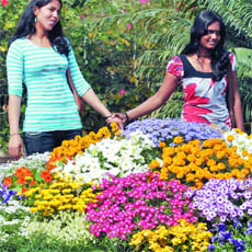 Visitors admire flowers at Garden of Five Senses, after the inauguration of 22nd Garden Tourism Festival in New Delhi on Friday.