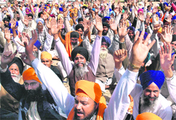 A section of Sikhs who gathered in Sector 25 of Chandigarh in the wake of the hearing