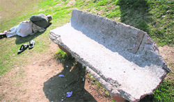 A broken bench more than sums up the pathetic condition of a municipal park