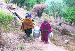 Women of the cooperative societies in Chamba block collect milk for transportation to a milk plant. 