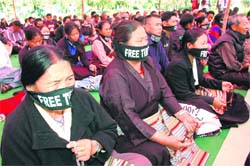 Tibetans protest against Chinese atrocities in Dehradun on Wednesday.