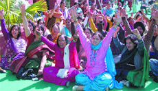 Members of the Punjab and Chandigarh College Teachers Union hold a dharna at HMV College in Jalandhar on Friday.