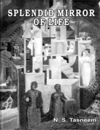 Splendid Mirror of Life