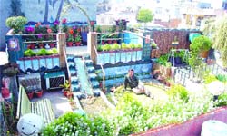 Yogesh Aneja in his terrace garden