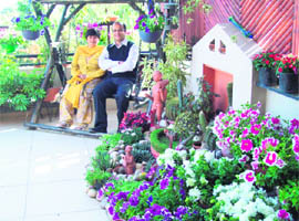 Dr Sanjay and Reeta Kalra took up the challenge of raising a garden on their terrace