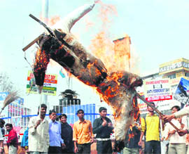 Activists of the All-India Anti-Terrorist Front burn an effigy of Pakistan at Committee Chowk in Karnal on Wednesday in protest against the terror attack on the Sri Lankan cricket team in Pakistan.