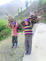 Children carry fuelwood near the Dera Ki Gali area on the Jammu-Poonch National Highway.