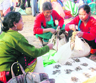 Tribals exchange food items with people from the plains during the Junbeel mela at Morigaon, Assam