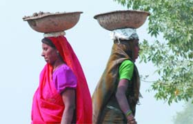  Tribune photo: Manas Ranjan Bhui
