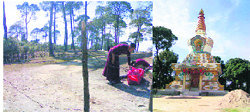 The recent decision of the Forest Department to block the road leading to the Institute for the Furtherance of Study in Buddhism and a gurdwara at Gopalpur, 16 km from here, has led to widespread resentment among the people.