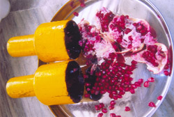 The novel hand tool developed by Dr A K Thakur, a senior scientist at CIPHET in Abohar, for separating arils from pomegranates.