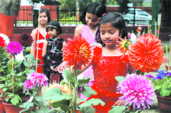Kids enjoy a flower show in Jalandhar Cantonment 