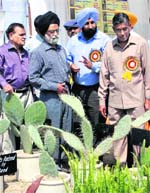 Dr Gurbachan Singh (2nd from right), director, CSSRI, gives details about a cactus variety at the kisan mela in Karnal