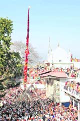 Devotees raise Jhanda Sahib in Dehradun on Sunday