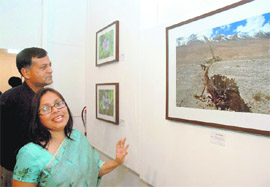 Couple of art: Ashok and Novel Lavasa