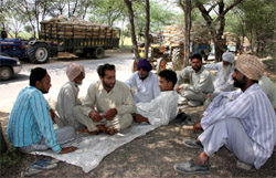 To offload their produce for storage, a group of farmers wait for their turn outside a cold store at Bhai Rupa near Bathinda on Saturday.