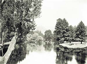 A rare photograph of the Dal Lake canal TCK, 1860