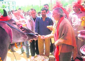 Chief Secretary Asha Swaroop performs bullock puja at the inaugural ceremony of the week-long state-level Nalwar fair in Sundernagar