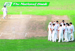 New Zealand cricketers celebrate the wicket of Dinesh Karthik as V.V.S.Laxman (L) looks on during the third day of the second Test at McLean Park in Napier on Saturday. India were 47-1 in their second innings, still trailing New Zealand by 267 runs at stumps on the third day of the second Test. 