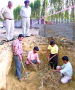 BSNL men try to repair the cables which were damaged during digging at the site of Khalsa College ROB in Jalandhar