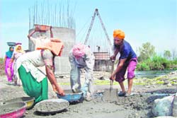 Villagers help in constructing the bridge across the Sutlej in Burj village, Anandpur Sahib