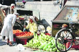 Vegetables being sold next to a garbage bin near Tehsil Chowk, one of the busiest and filthiest areas in Dehradun.