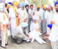 Akali Dal activists burn the effigies of Varun Gandhi, Tytler, Sajjan Kumar and others in Ludhiana on Saturday.