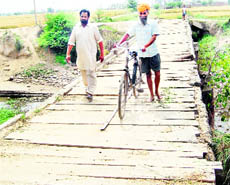 A view of wooden-log bridge on the Indo-Pakistan border near Dhanoe Kalan village.