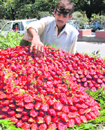 A fruit seller in Dehradun has a cart full of strawberries.