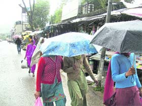Rain brings out umbrellas on Kangra roads