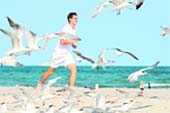 Andy Murray of Great Britain runs on the beach through a flock of seagulls for photographers after defeating Novak Djokovic of Serbia to win the men's final of the Sony Ericsson Open at the Crandon Park Beach