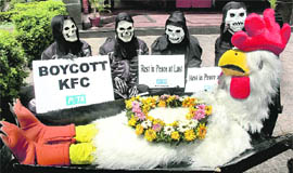 PETA activists on Tuesday held a 'funeral procession' of chicken in front of KFC, Sector 8, Chandigarh.