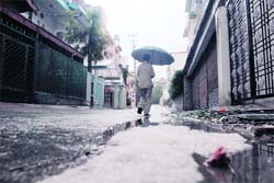 Rain brought hails along with it at Shimla on Wednesday.