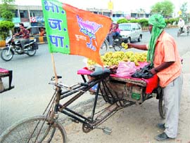 As election scene hots up, the BJP uses a fruit vendor to carry its flag in Amritsar.