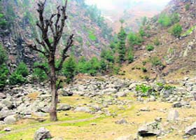 The Lachipora Wildlife Sanctuary