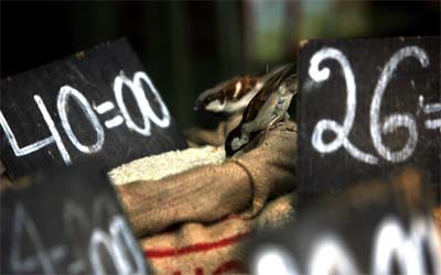  Photo by Reuters/Arko Datta