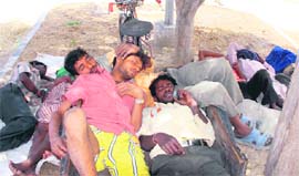 WAKE ME NOT: Labourers take a nap at the new grain market in Karnal.