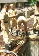Rescue workers try to save Nand Kishore, who fell into the manhole, at Dwarka in New Delhi