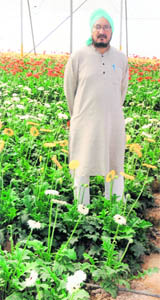 Amarjit Sidhu at his green house in Nadha village on the outskirts of Chandigarh.