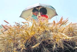 Two kids sit under an umbrella in a field in Karnal to protect themselves from the scorching sun
