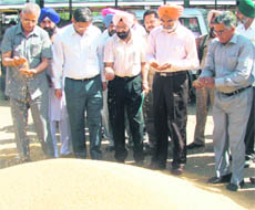 Principal secretary to the Chief Minister DS Guru along with other officials at a grain market on Thursday.