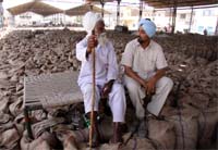 Two farmers sitting in Bathinda grain market on Saturday as lifting of wheat by government agencies was slow