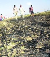 Farmers survey the loss after their wheat crop was destroyed in a fire in Kotli Gala Bana village of RS Pura in Jammu on Sunday.