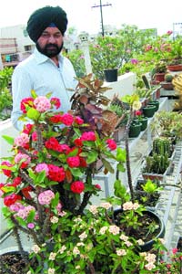 J.S. Sandhu, head of the Physiotherapy Department, GND University, at a nursery in Amritsar