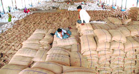 Bags of wheat stacked at the Ladwa grain market in Kurukshetra on Tuesday.