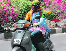 BEAUTY UNDER COVER: As the mercury rises, a girl covers her face to protect herself from the blazing sun in Chandigarh