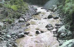 Muck and debris dumped in the Sainj river  by the NHPC