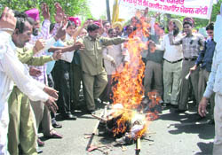 Government employees, led by activists of the Punjab Subordinate Services Federation, burn an effigy of the Punjab government in Ludhiana on Thursday.